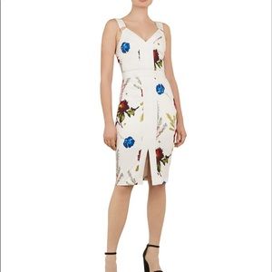 Ted Baker - Amylia Berry Sundae Sheath Dress